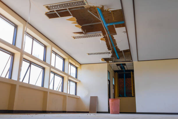 Best Flood damage cleanup  in Georgetown, DE
