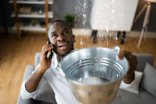 Best Flooded house restoration  in Georgetown, DE