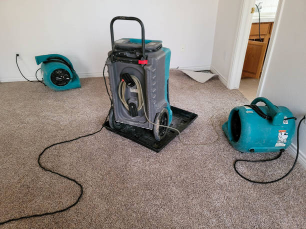 Trusted Georgetown, DE Water damage restoration Experts