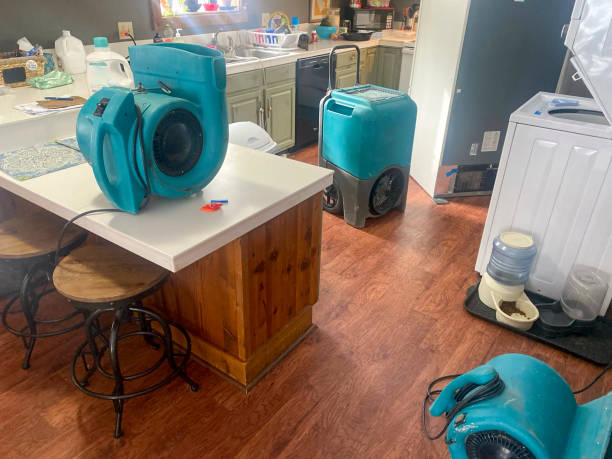 Best Water damage mitigation services  in Georgetown, DE