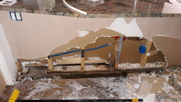 Best Ceiling water damage repair  in Georgetown, DE