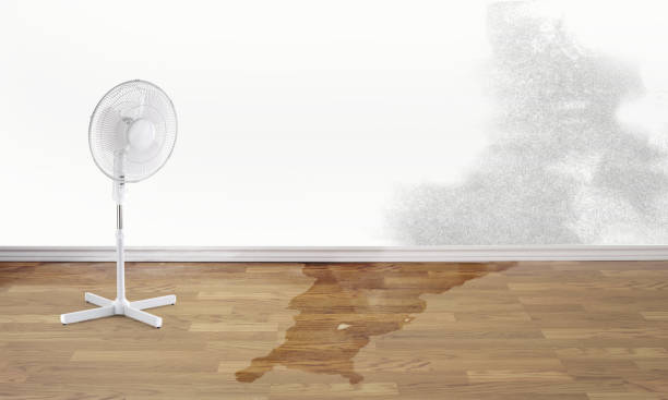 Best 24-hour water damage restoration  in Georgetown, DE