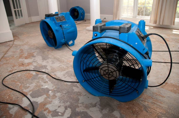 Best Water damage cleanup near me  in Georgetown, DE