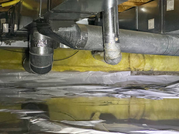 Best Mold removal after water damage  in Georgetown, DE